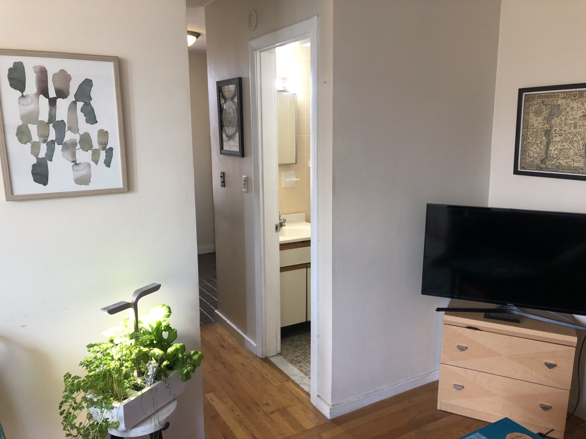 1 bed, 1 bath apartment for rent at 198 Allston St Unit 12A, Allston — photo 5 of 18