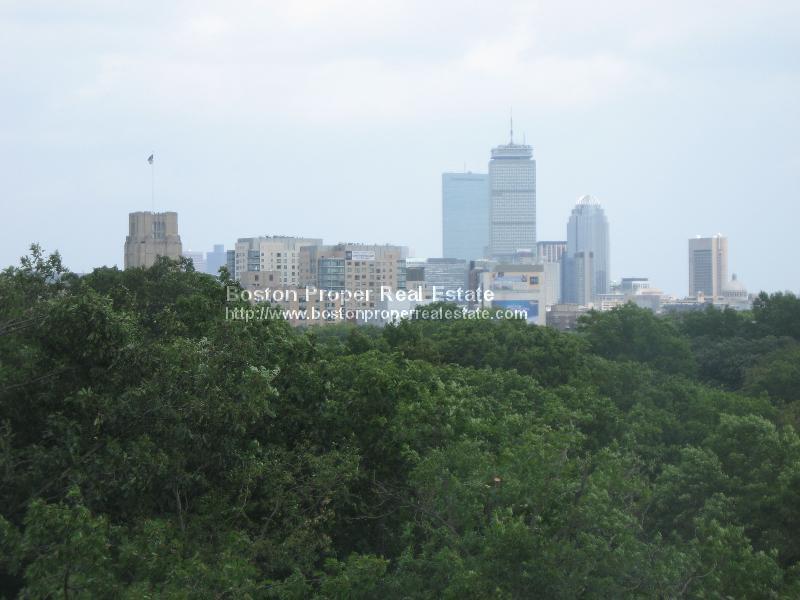 20 Chapel St, Longwood