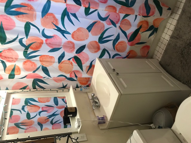 1109 Boylston St, Fenway