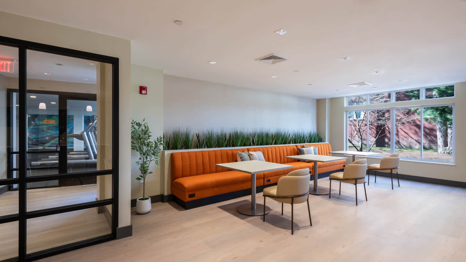 Photos of apartment on Watertown St.,Watertown MA 02472