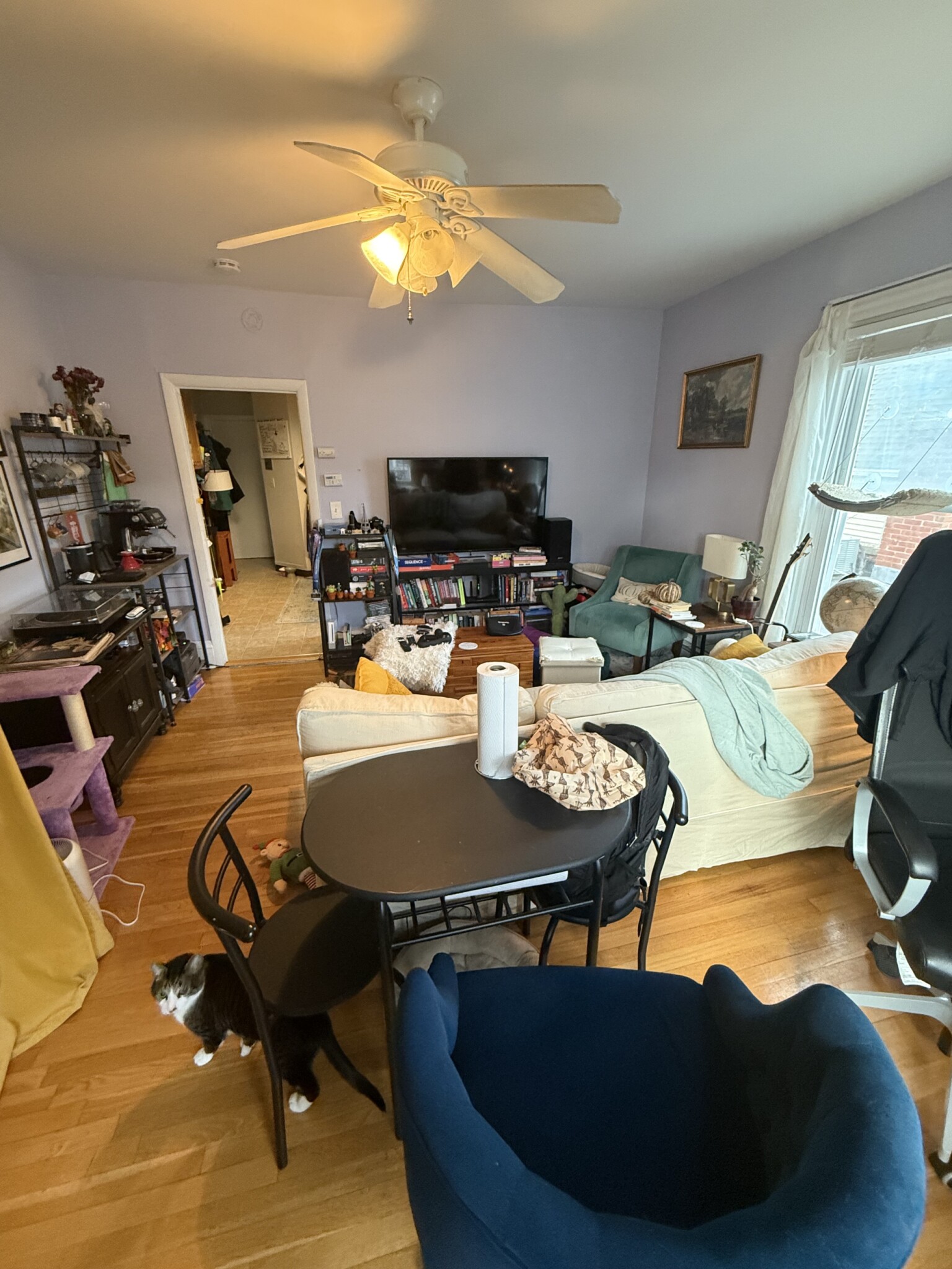 Photos of apartment on Walden St.,Cambridge MA 02140