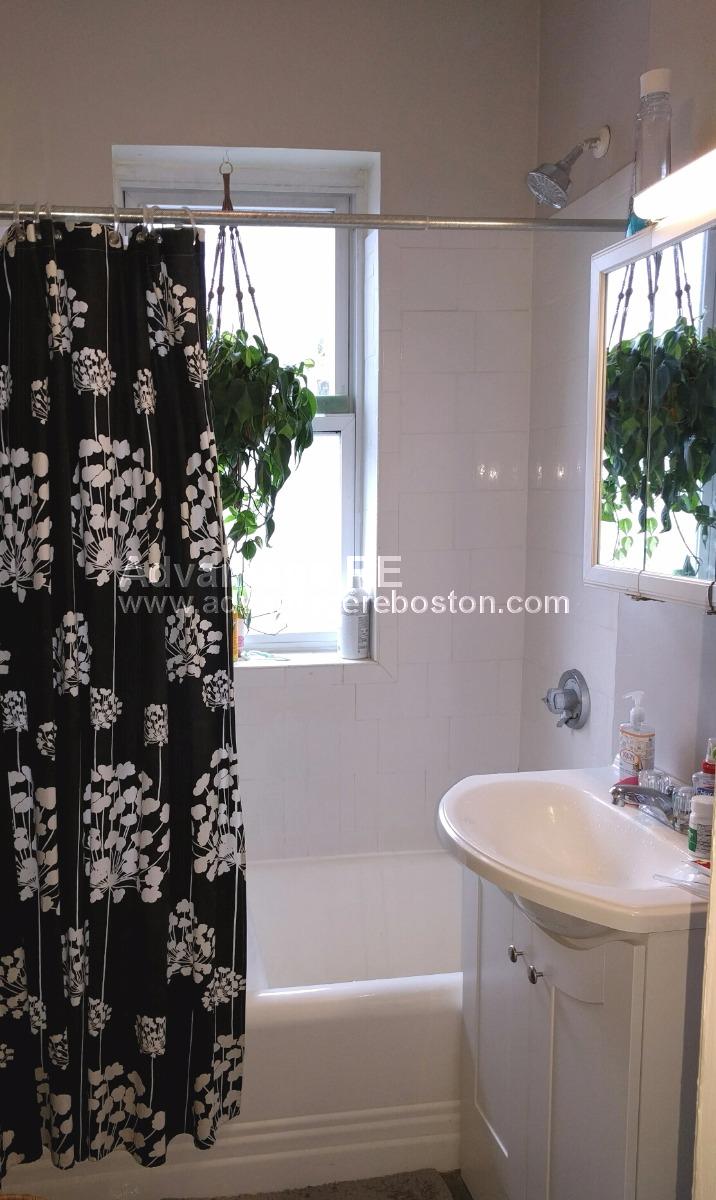 1 bed, 1 bath apartment for rent at 27 Lanark Rd Unit 10, Brighton — photo 4 of 9