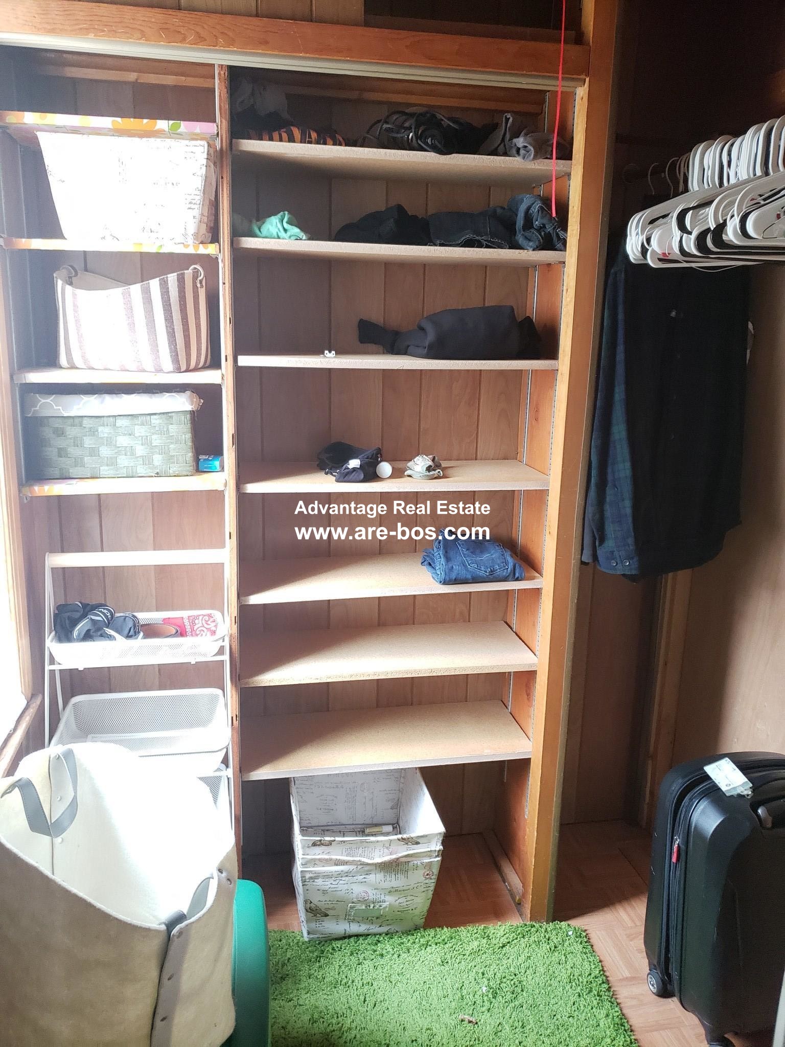 15 Harding St, Wellington-Harrington