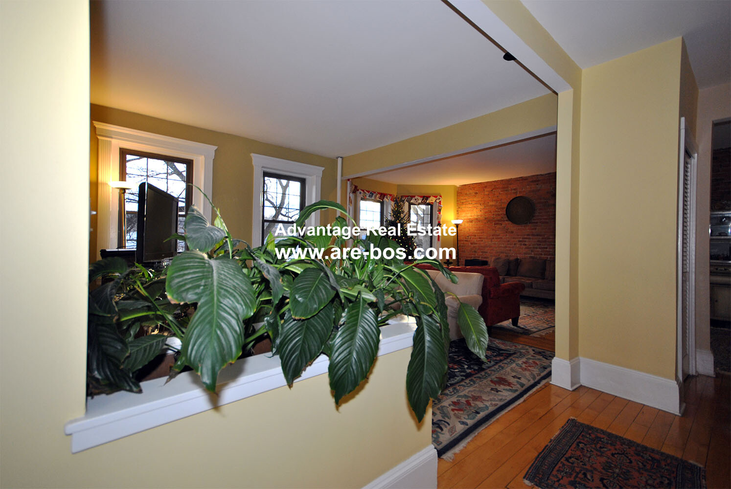 1165 Commonwealth, Brighton