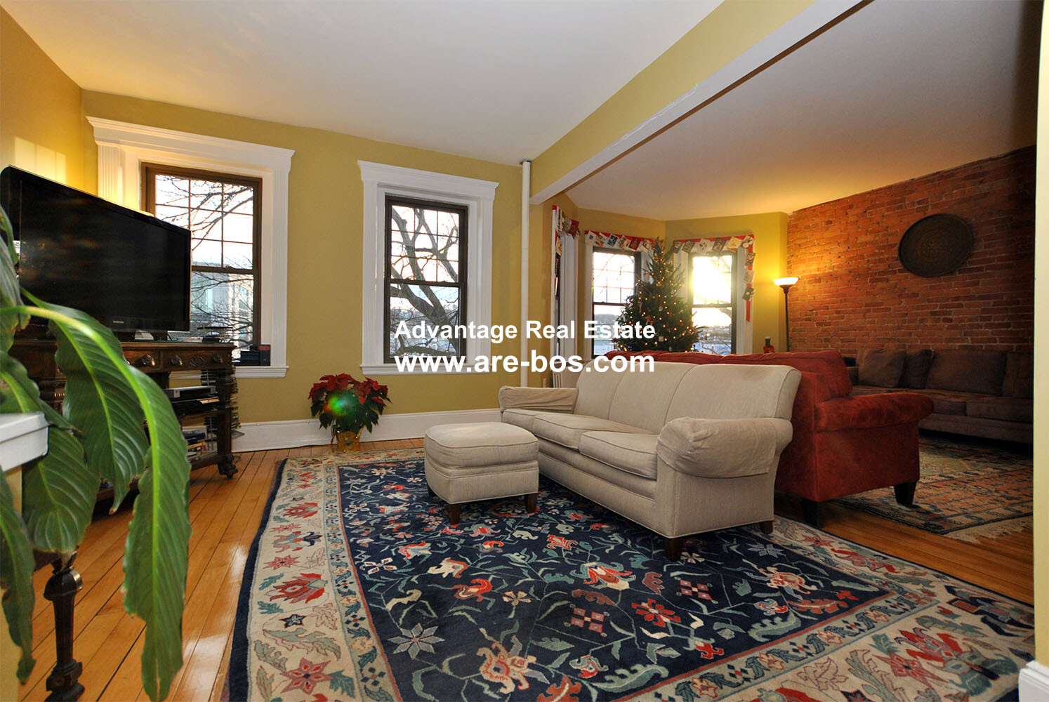 1165 Commonwealth, Brighton