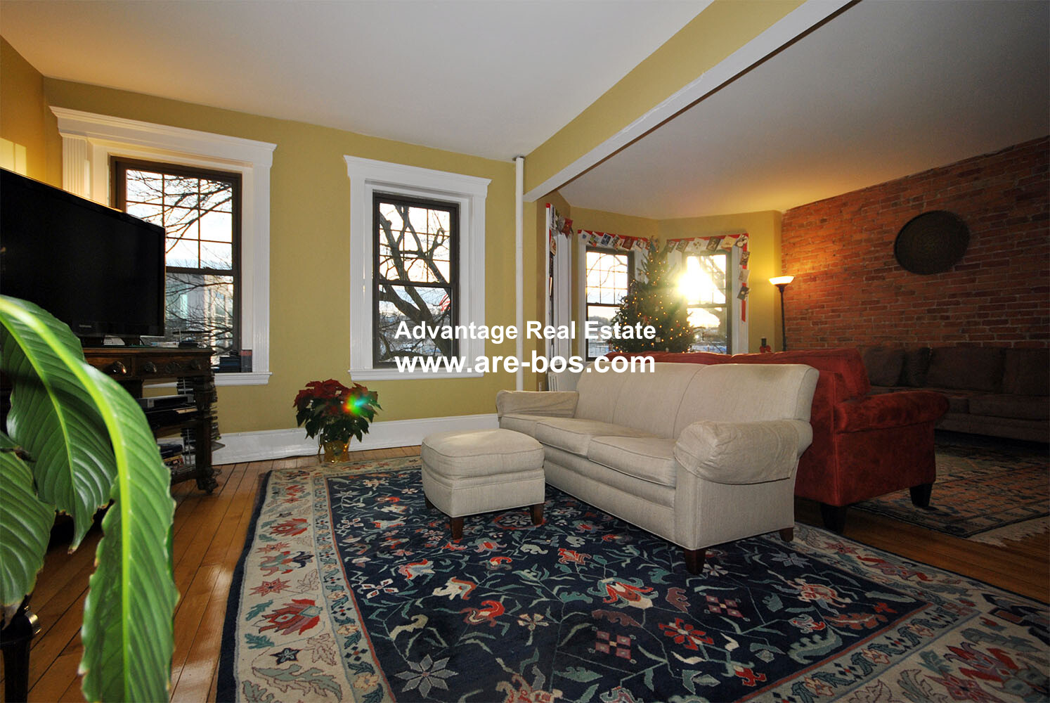 1165 Commonwealth, Brighton