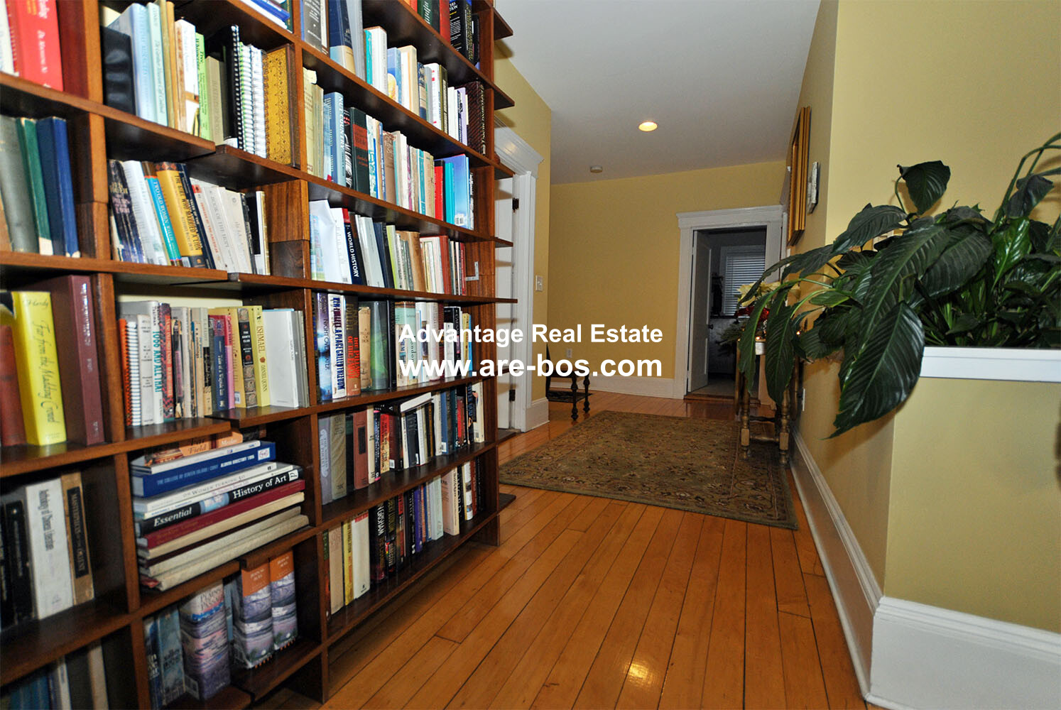 1165 Commonwealth, Brighton