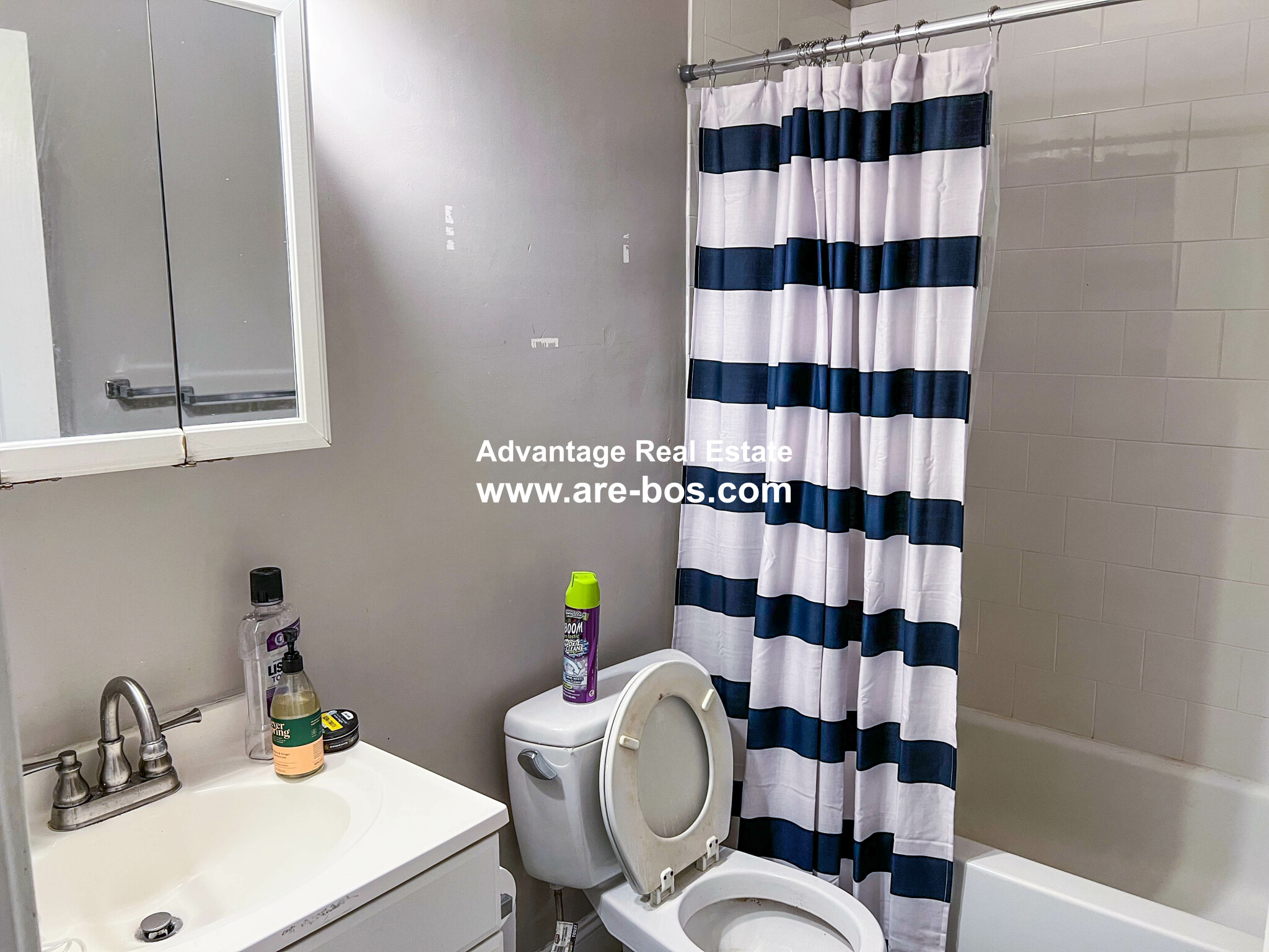 2 bed, 2 bath apartment for rent at 23 Saint Lukes Rd Unit 5, Allston — photo 8 of 38