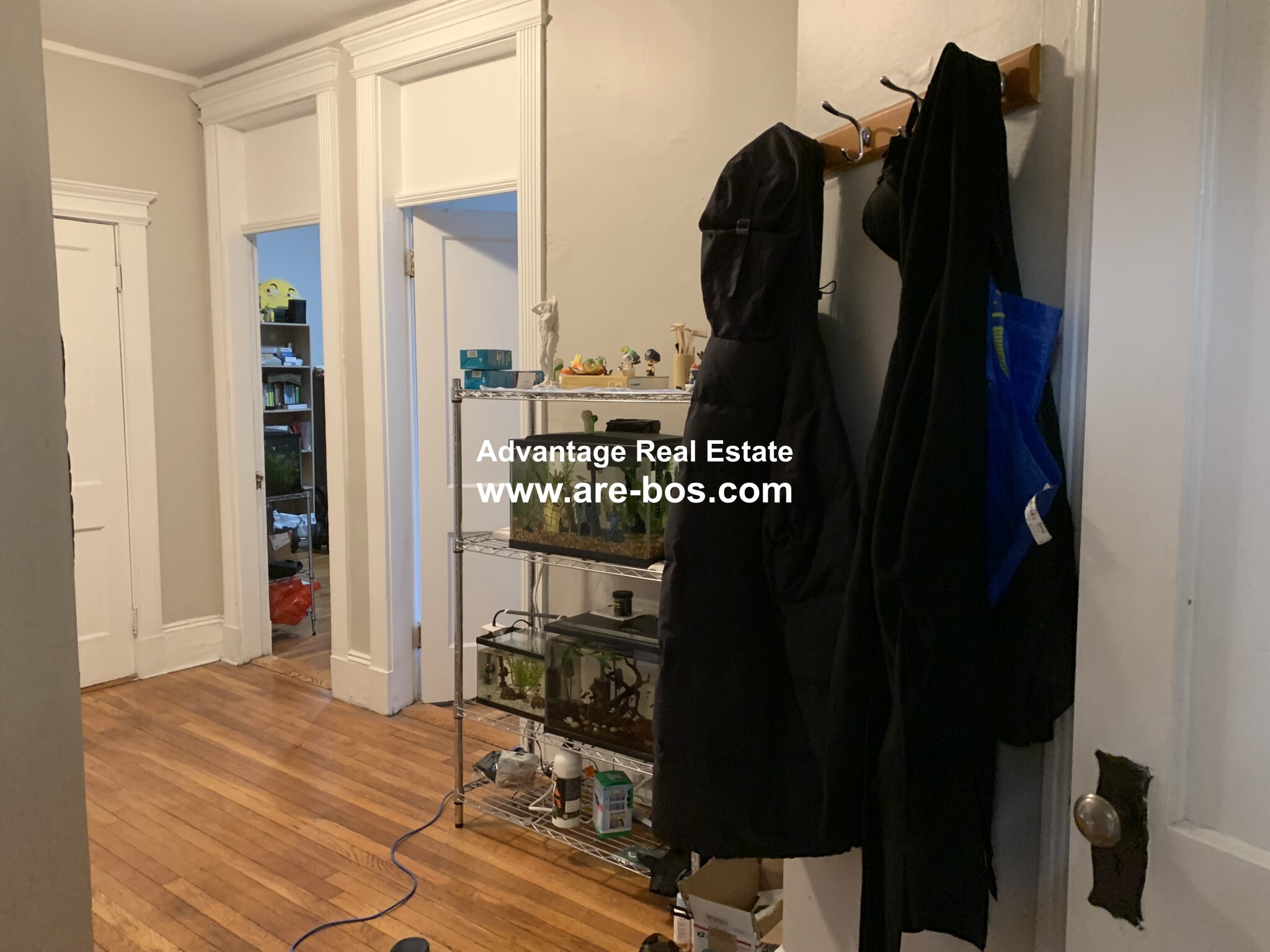 2 bed, 1 bath apartment for rent at 1066 Commonwealth Ave Unit 43, Allston — photo 1 of 32