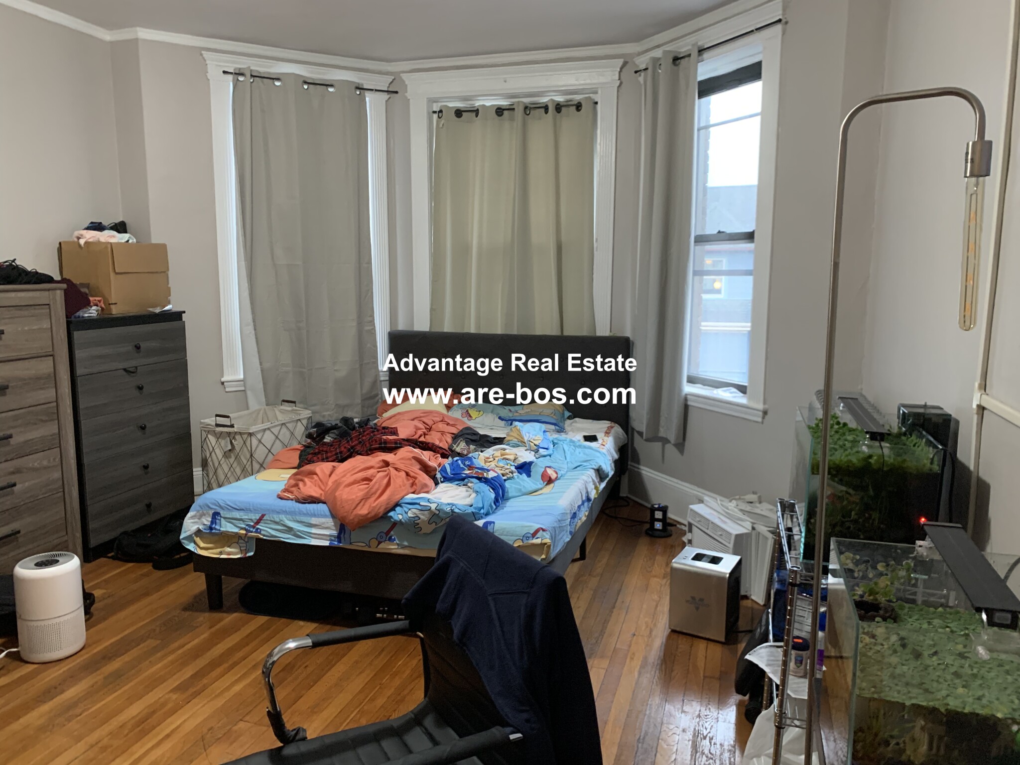 2 bed, 1 bath apartment for rent at 1066 Commonwealth Ave Unit 43, Allston — photo 12 of 32