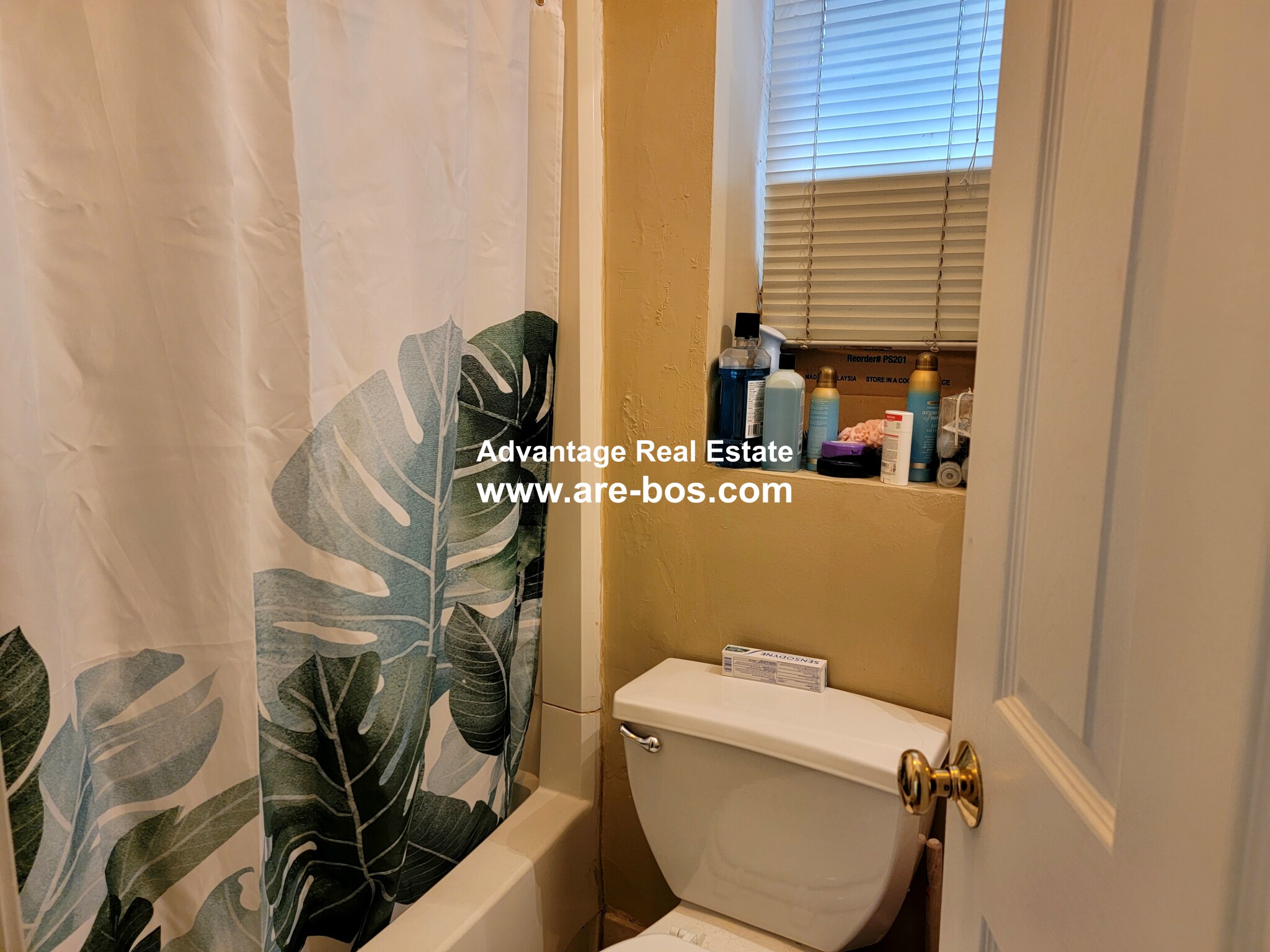 17 Highgate St, Allston