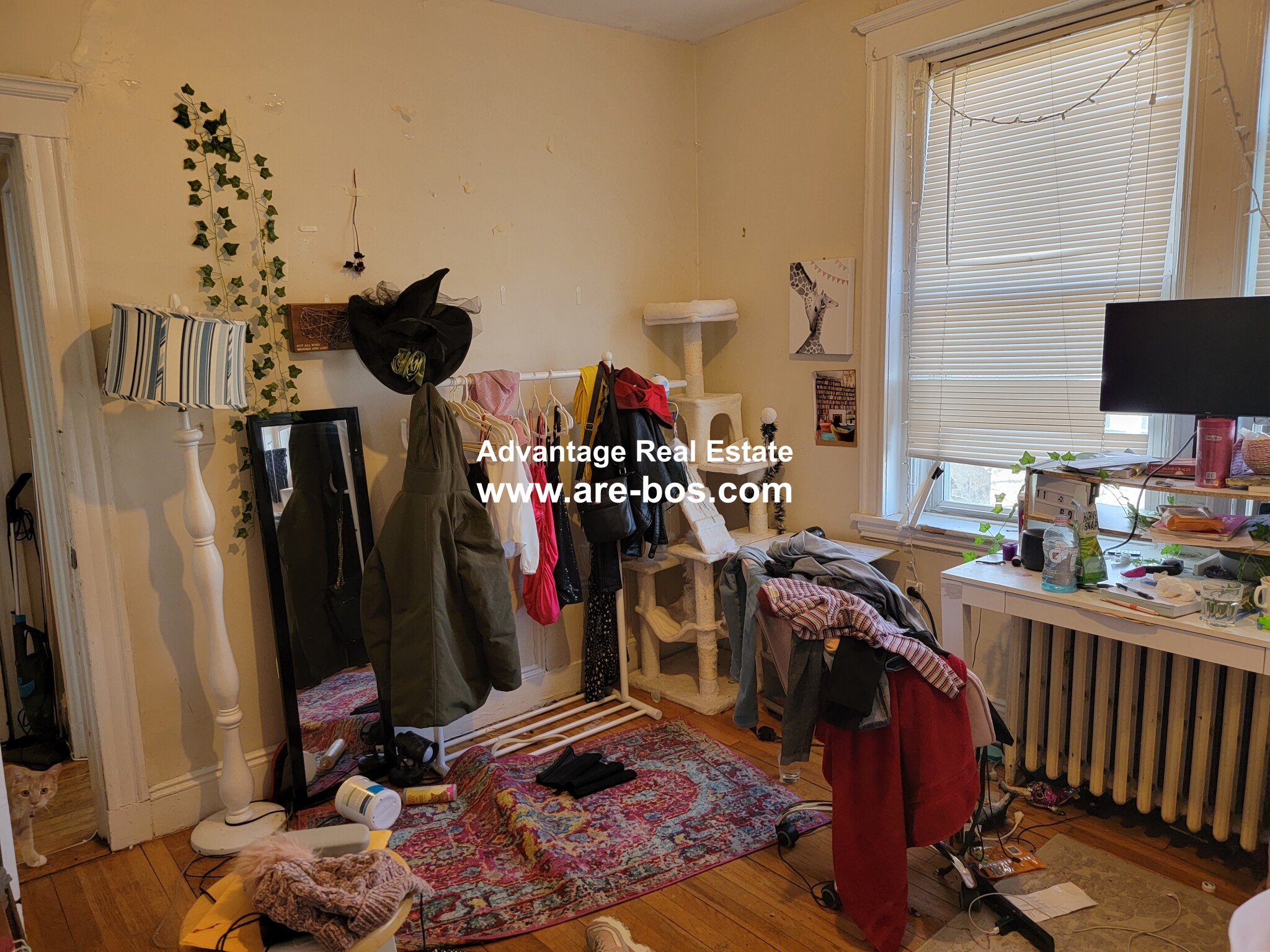 45 Ashford St, Allston