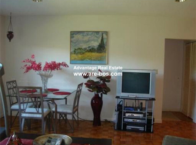 34 Lake Shore Ter, Brighton