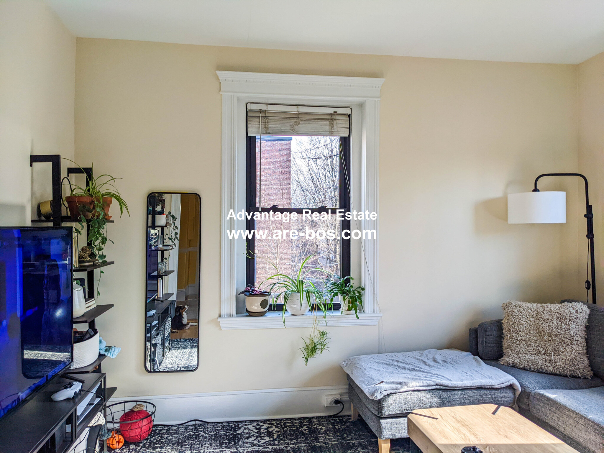 164 Strathmore Rd, Brighton