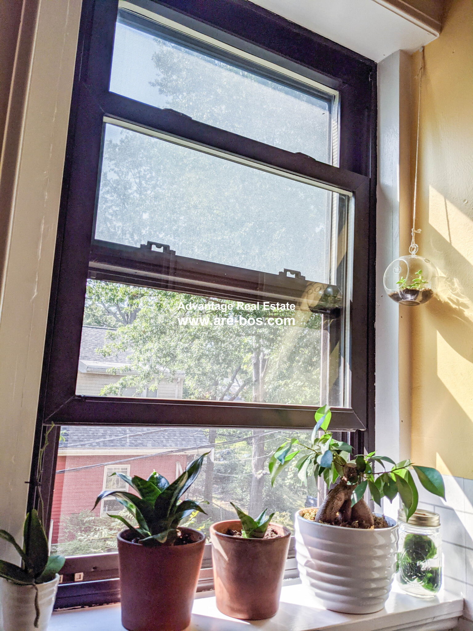 164 Strathmore Rd, Brighton