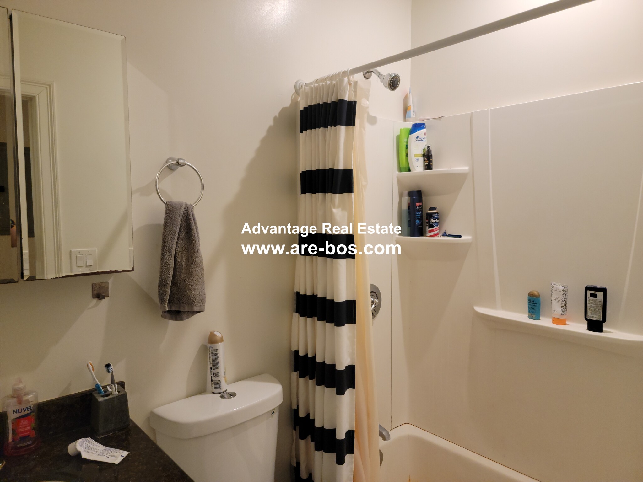 121 Webster Ave, Wellington-Harrington