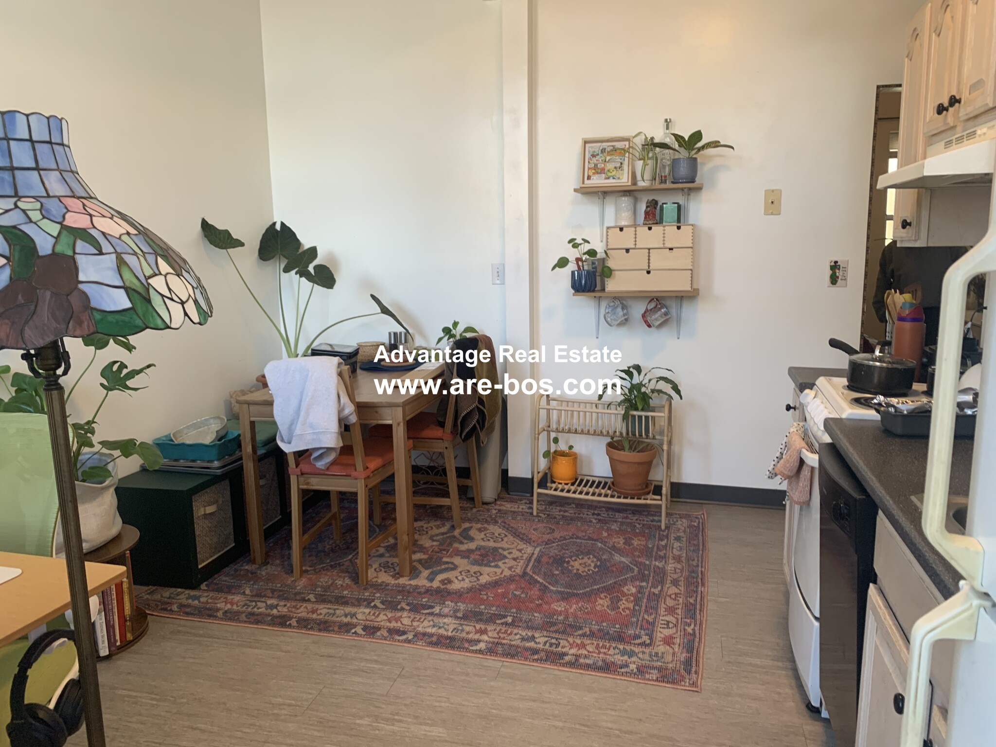 206 Chestnut Hill Ave, Brighton