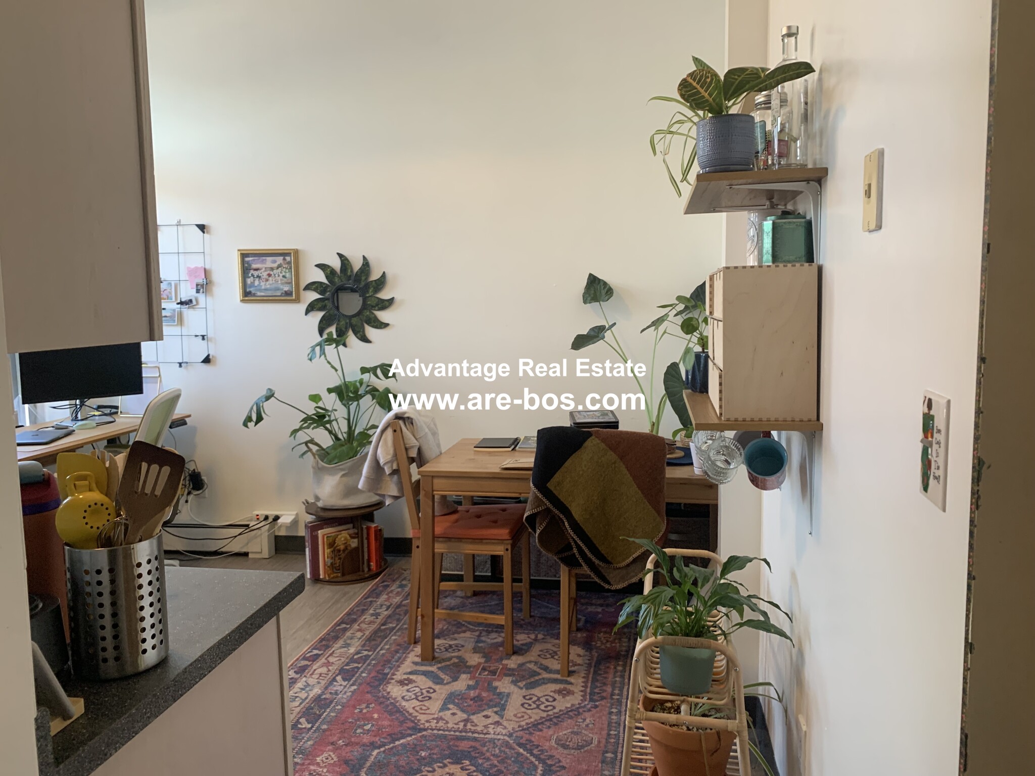 206 Chestnut Hill Ave, Brighton