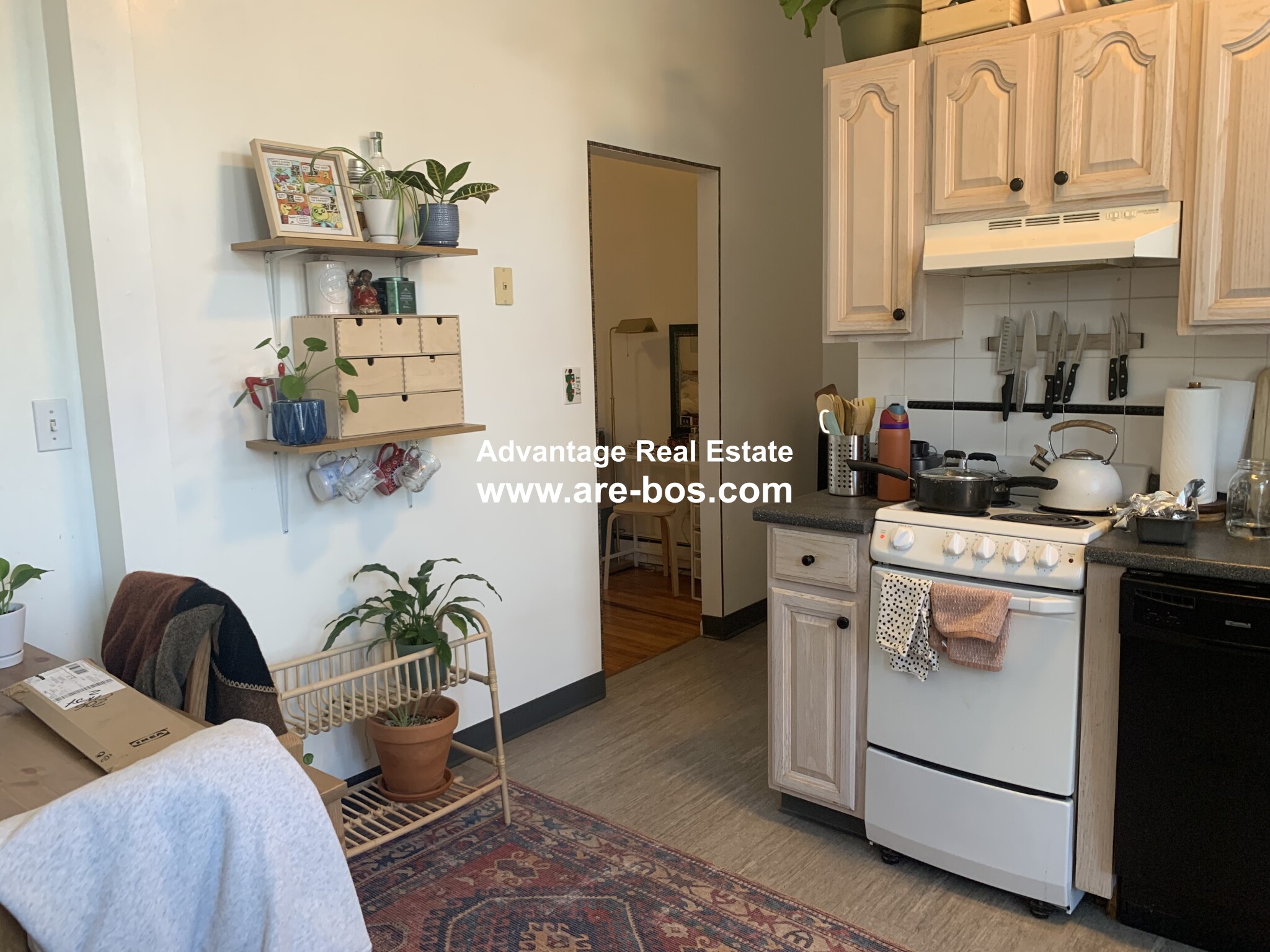 206 Chestnut Hill Ave, Brighton