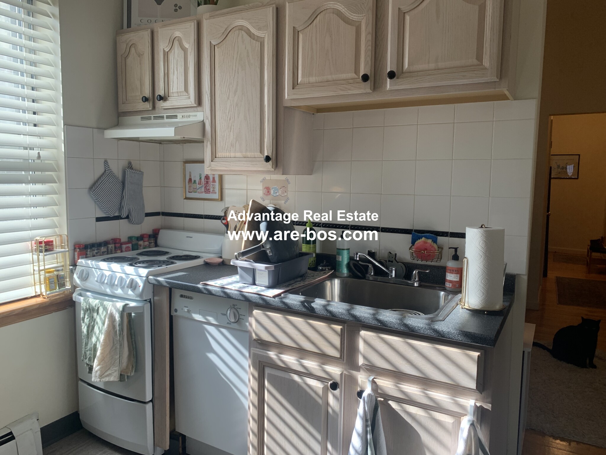 206 Chestnut Hill Ave, Brighton