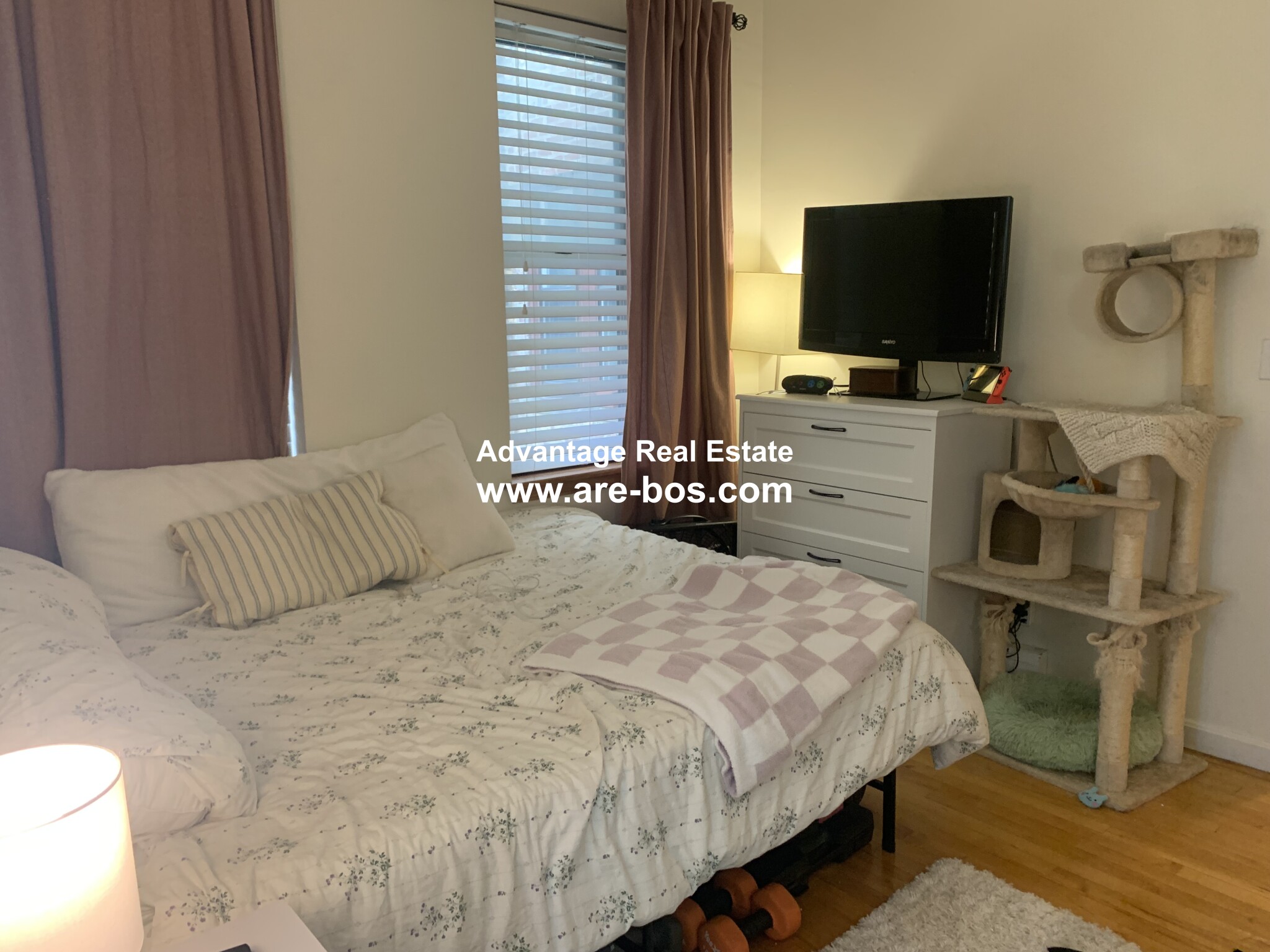 206 Chestnut Hill Ave, Brighton