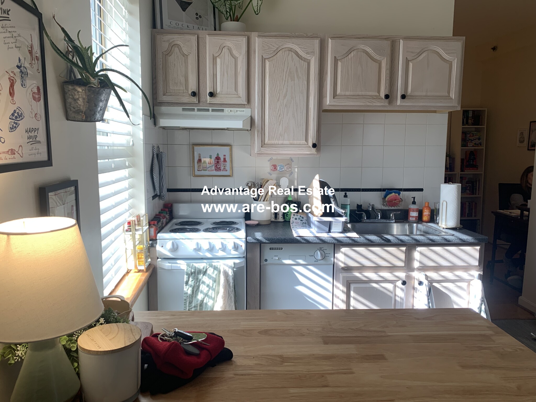 206 Chestnut Hill Ave, Brighton