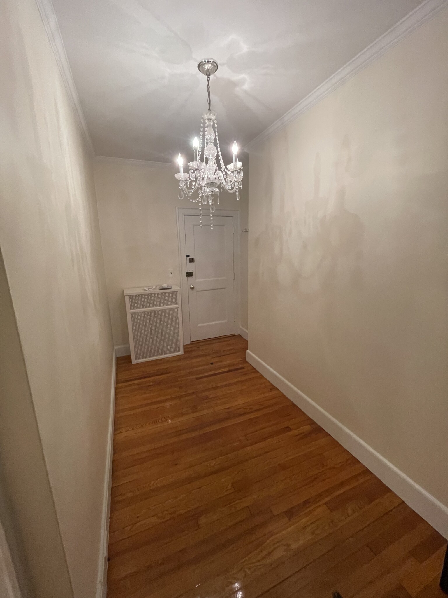 131 Freeman St, Coolidge Corner