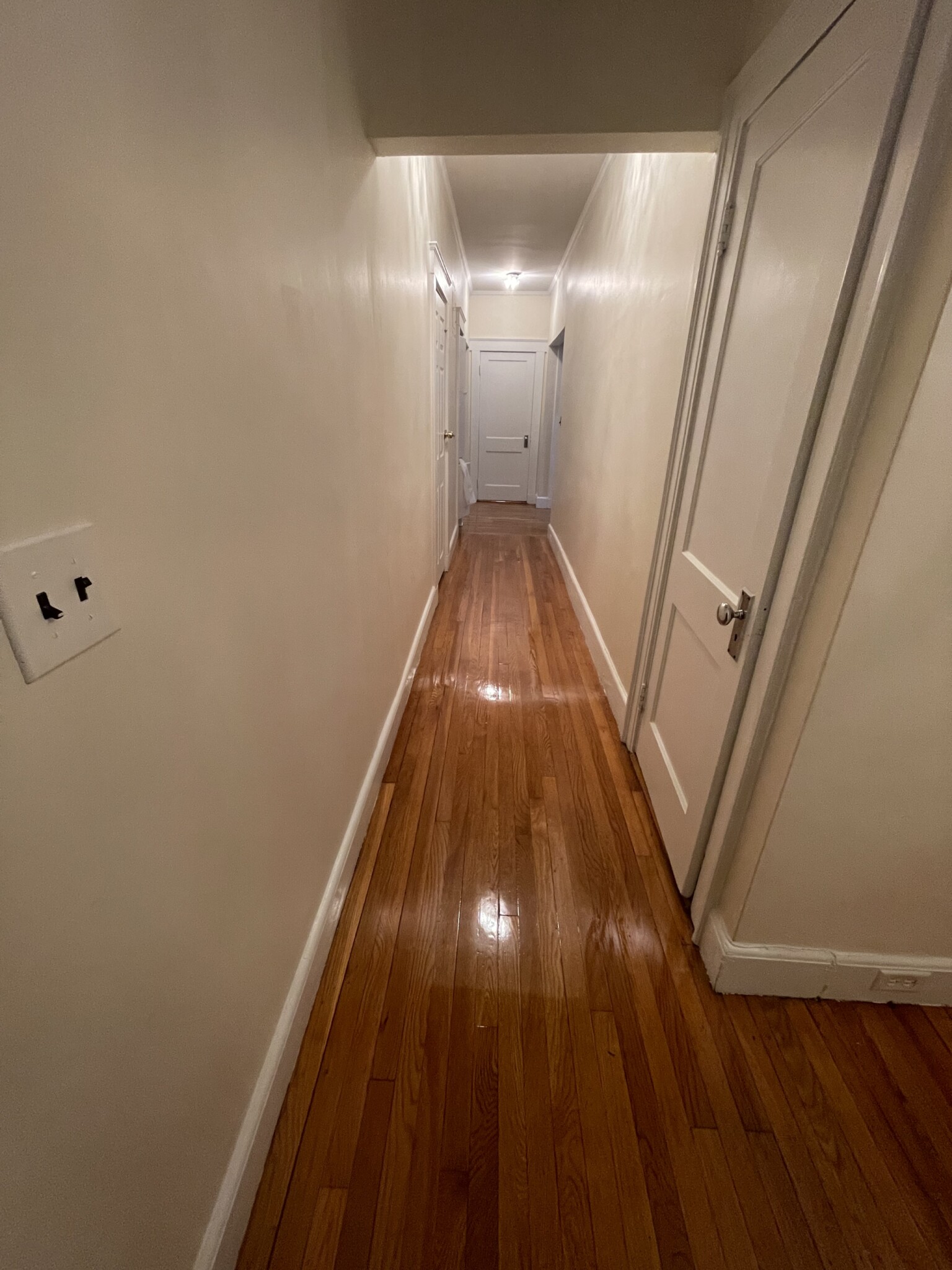 131 Freeman St, Coolidge Corner