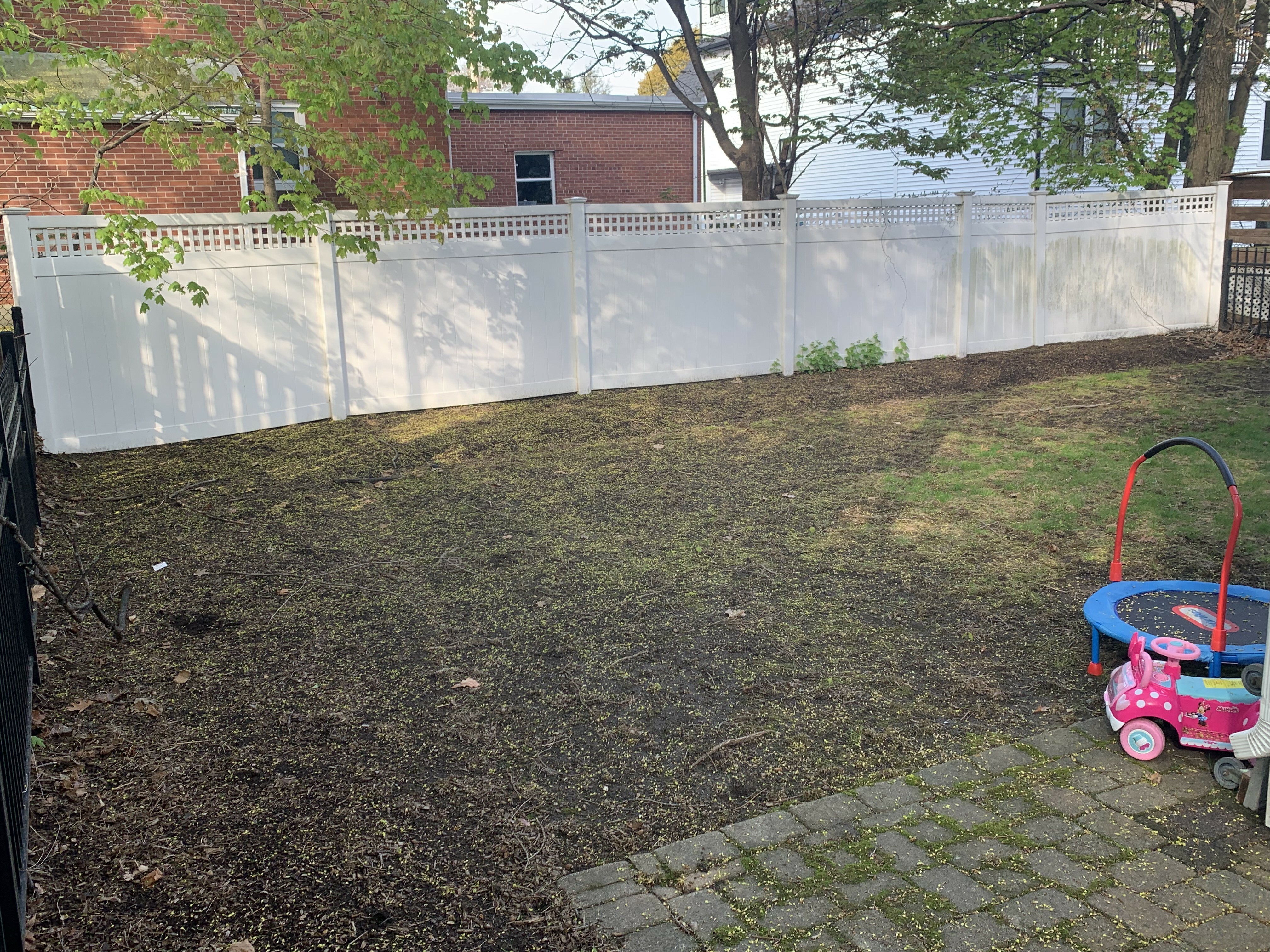 45 Wilson Ave, Belmont