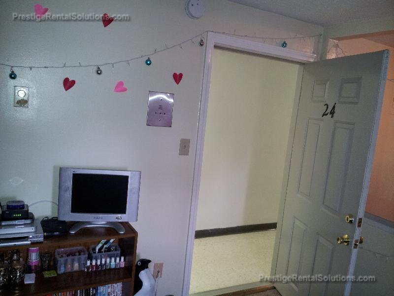 231 Harrison Ave, Chinatown