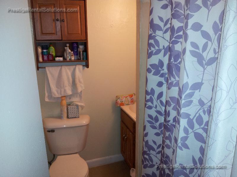 231 Harrison Ave, Chinatown