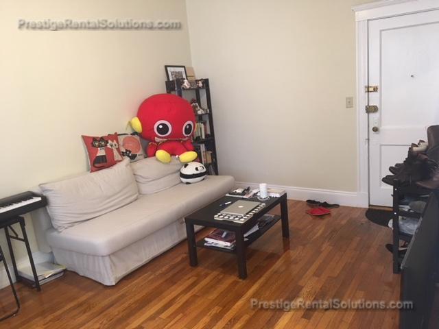 1 bed, 1 bath apartment for rent at 232 Kelton St Unit 6, Allston — photo 2 of 9