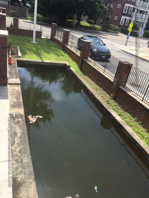 316 North Harvard St, Allston