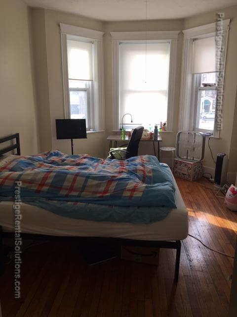 11 Royce Rd, Allston