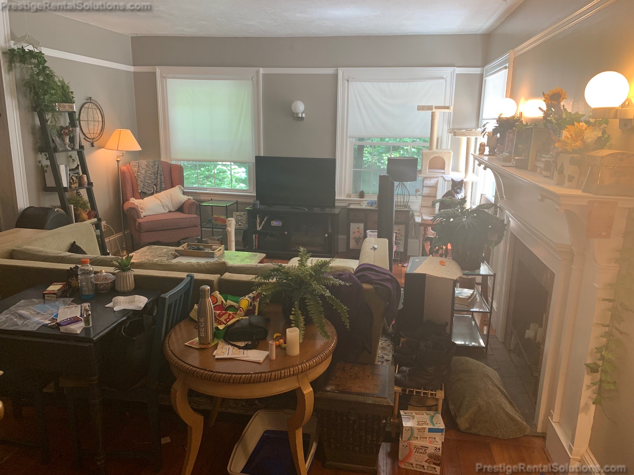 266 Chestnut Hill Ave, Brighton