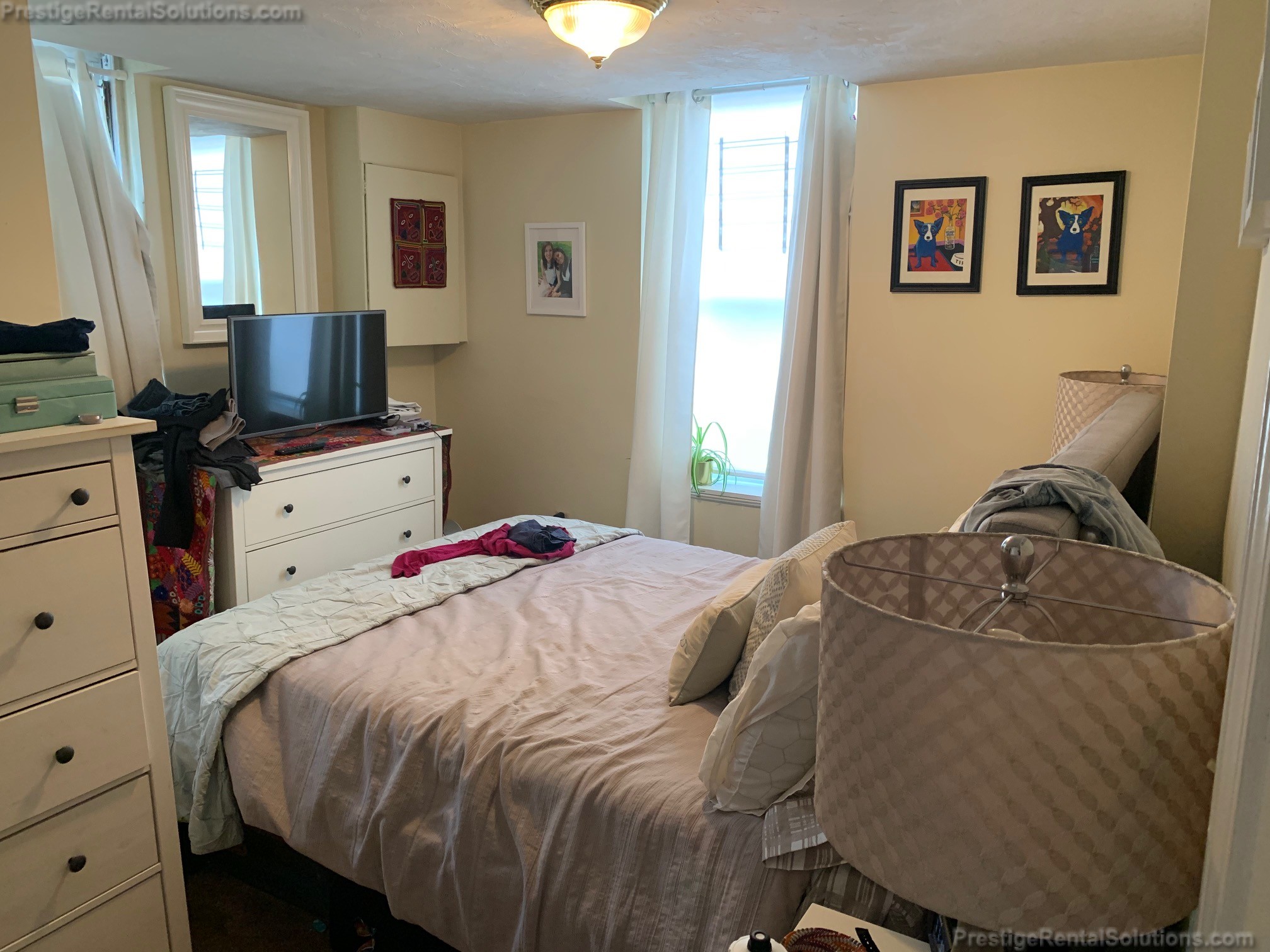 41 Chestnut Hill Ave, Brighton