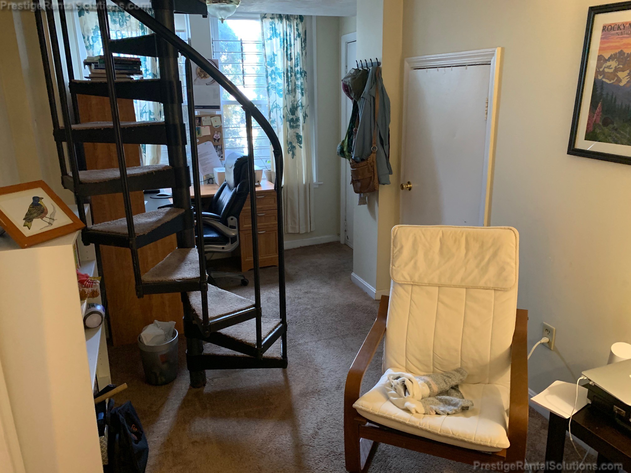 41 Chestnut Hill Ave, Brighton