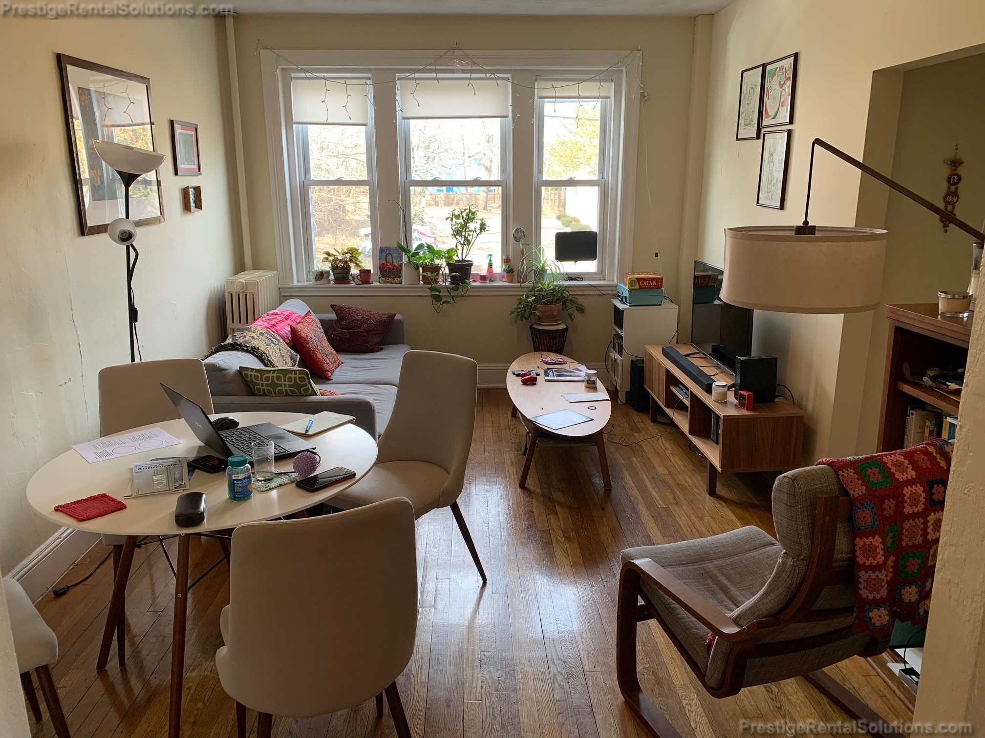 41 Chestnut Hill Ave, Brighton