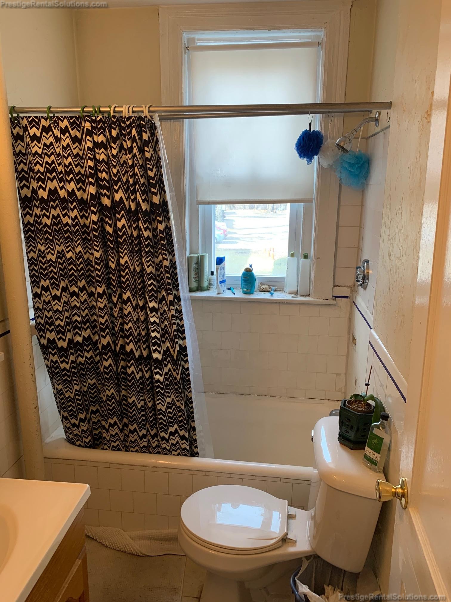 41 Chestnut Hill Ave, Brighton