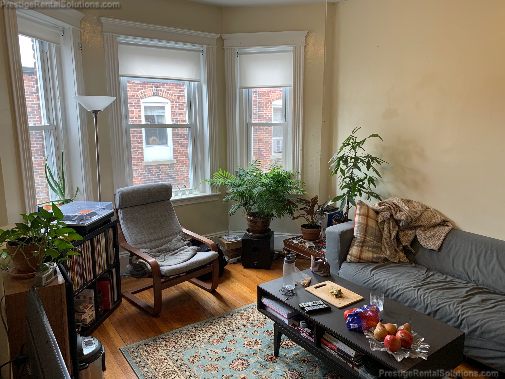 11 Royce Rd, Allston