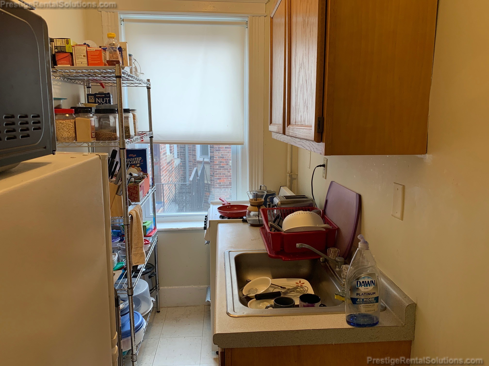 11 Royce Rd, Allston