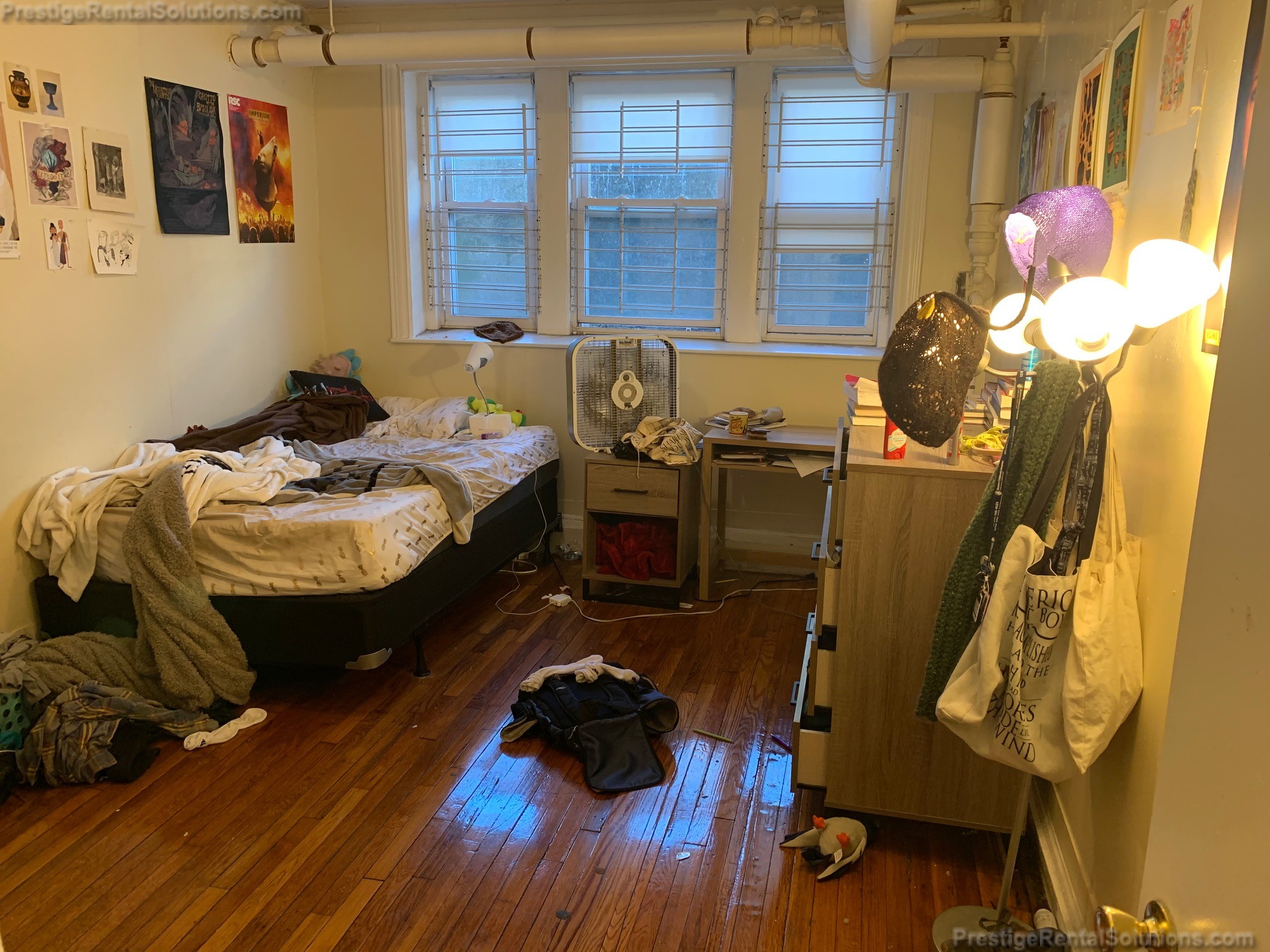 45 Chestnut Hill Ave, Brighton