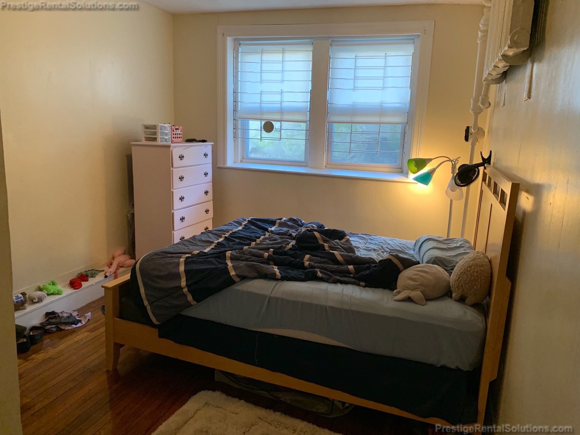 45 Chestnut Hill Ave, Brighton