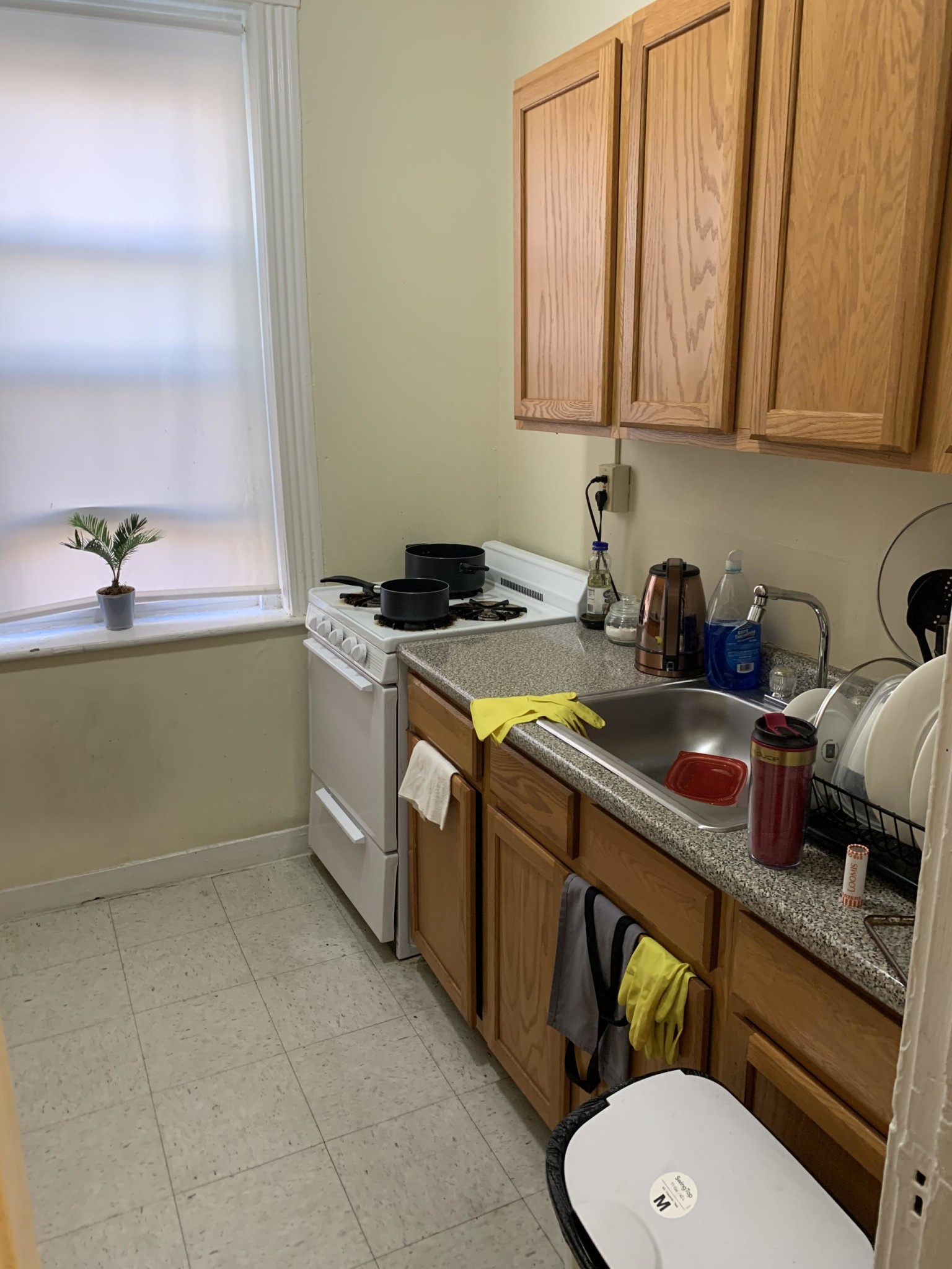 31 Gardner St, Allston