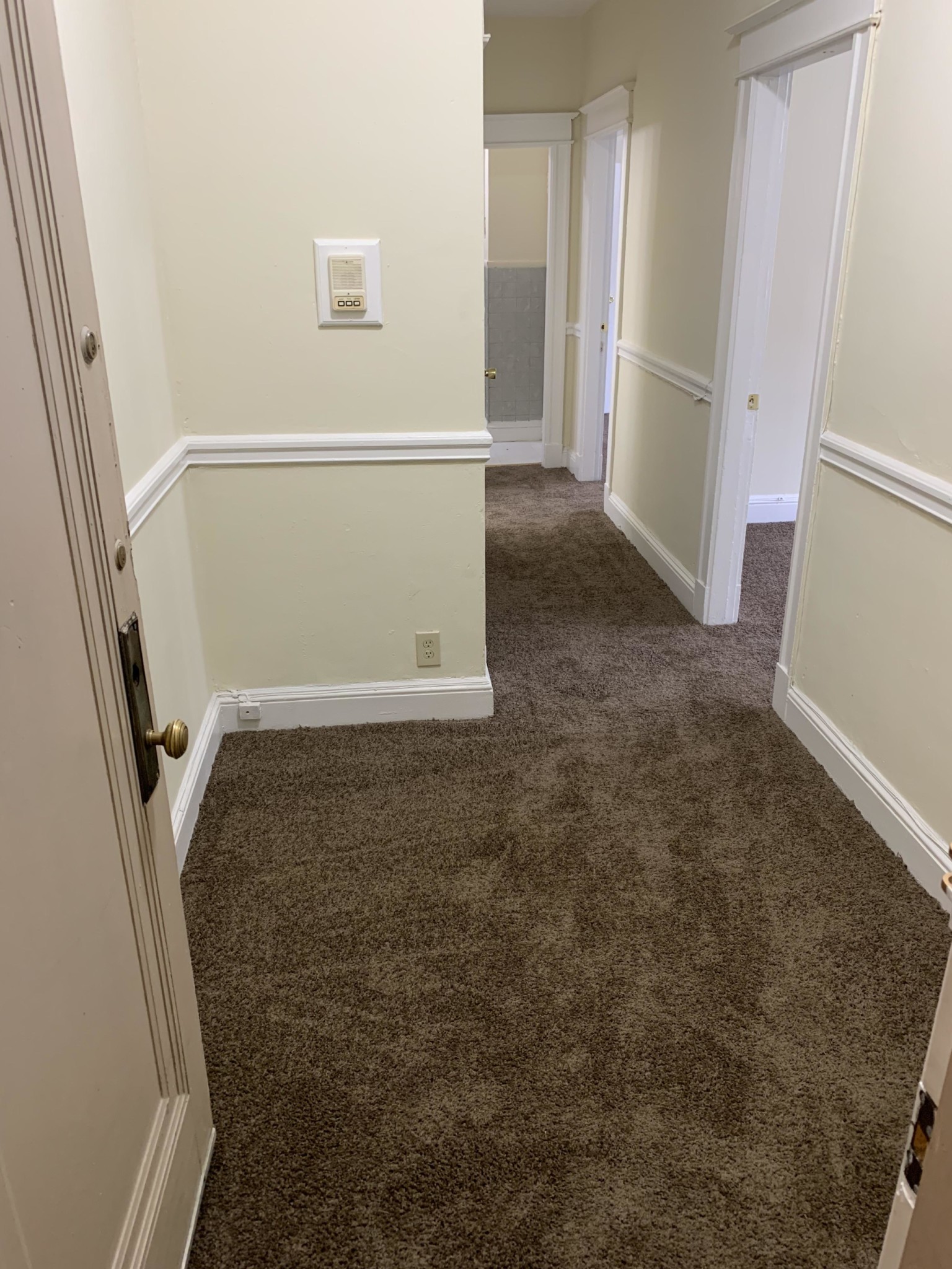 68 Woodstock Ave, Brighton