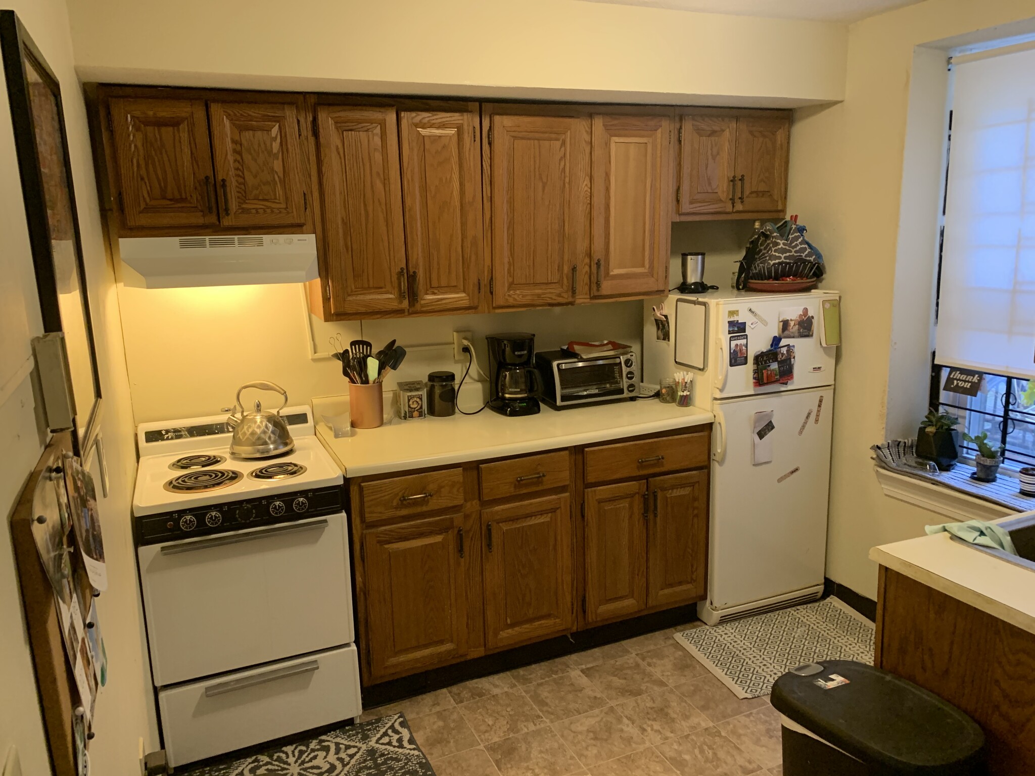 159 Kelton St, Brighton