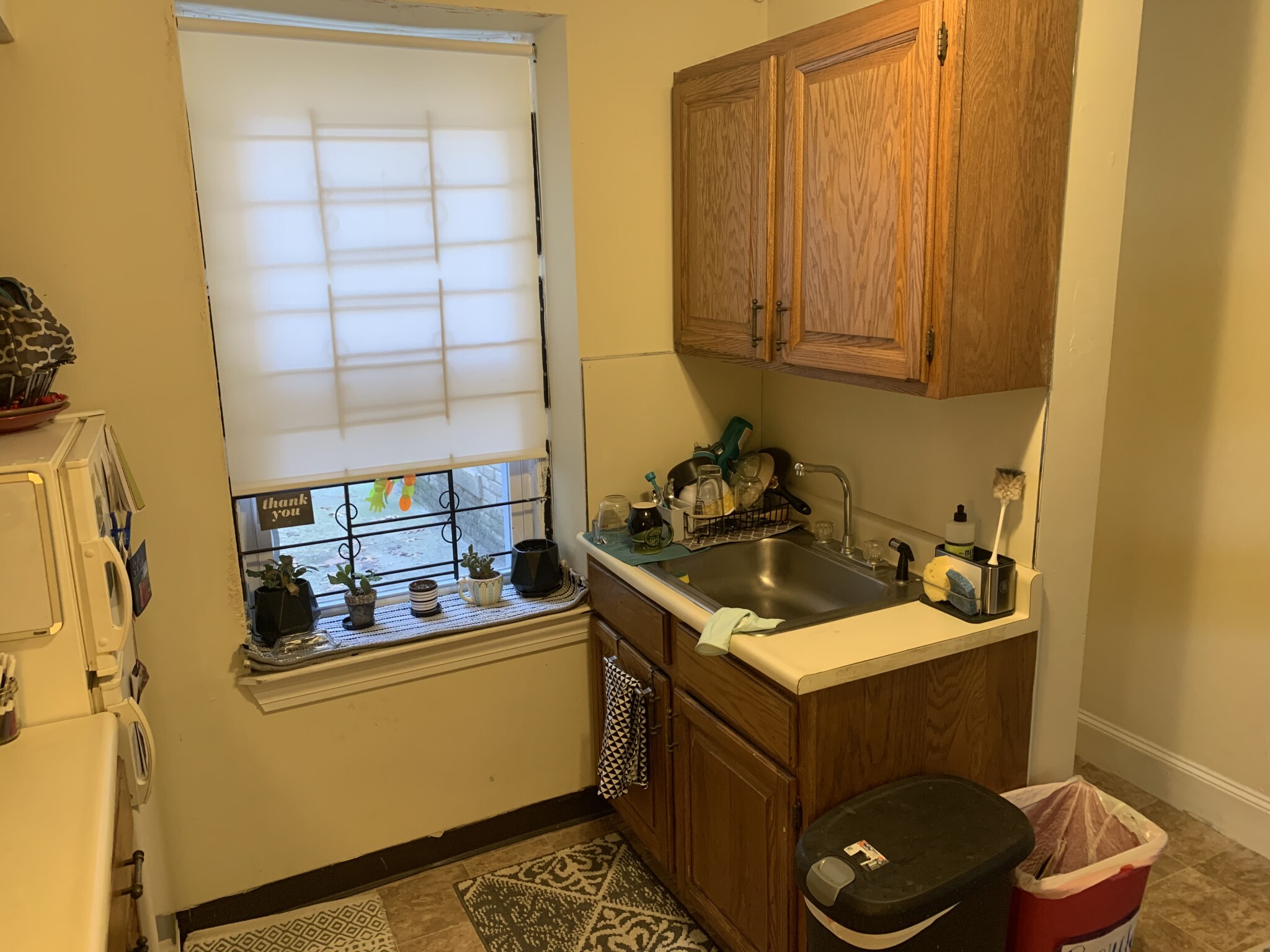 159 Kelton St, Brighton