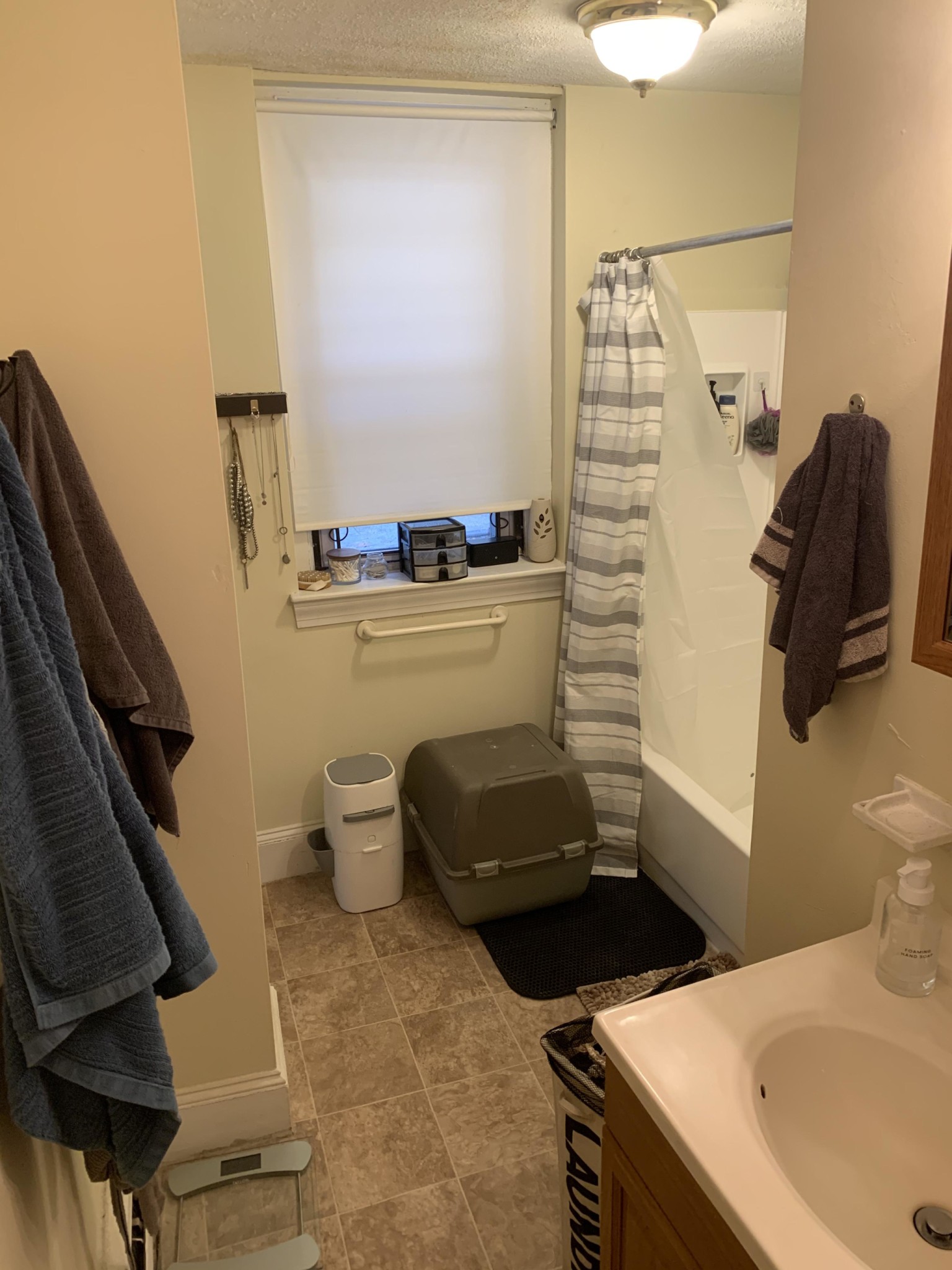 159 Kelton St, Brighton