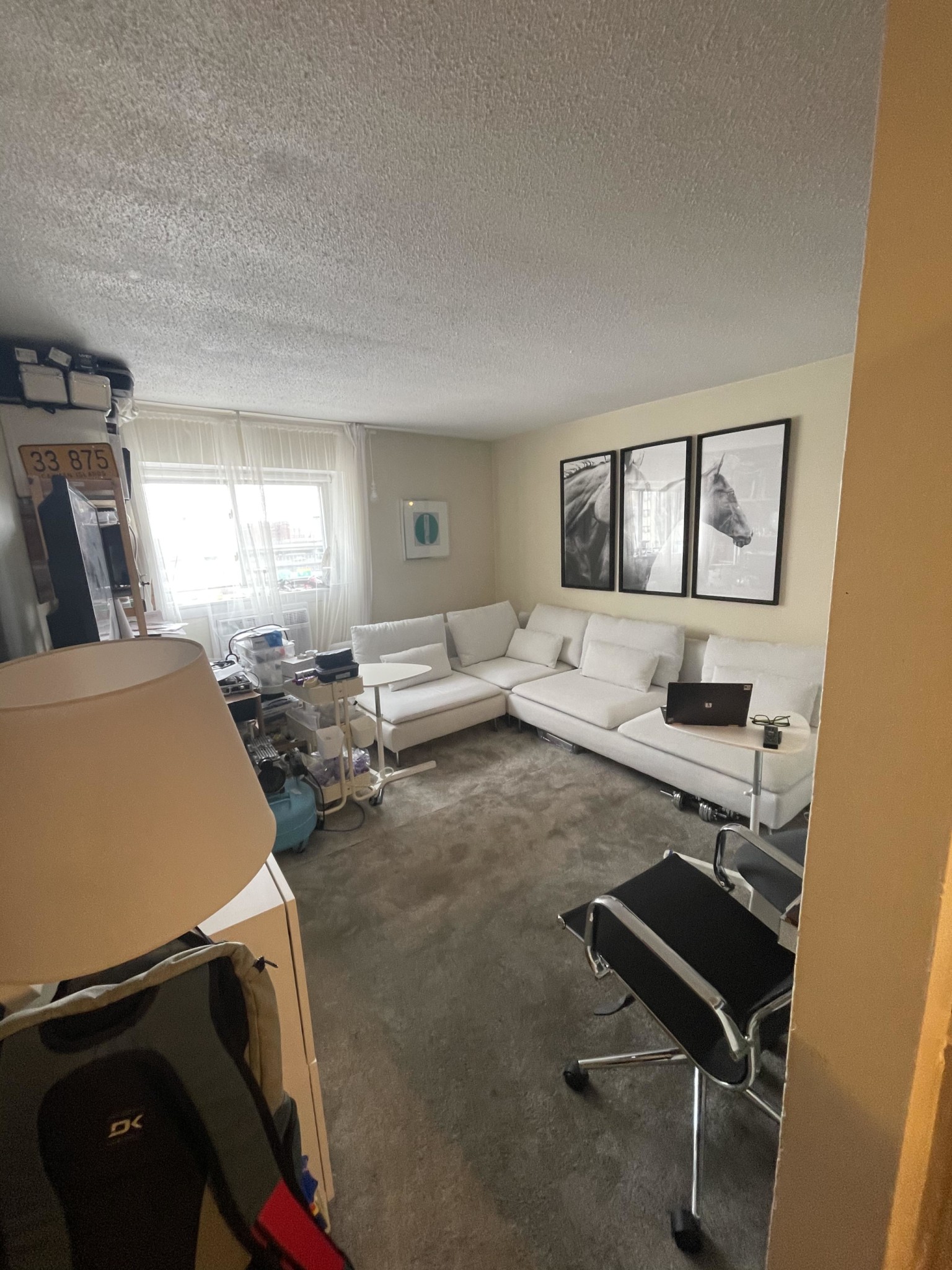 231 Harrison Ave, Chinatown