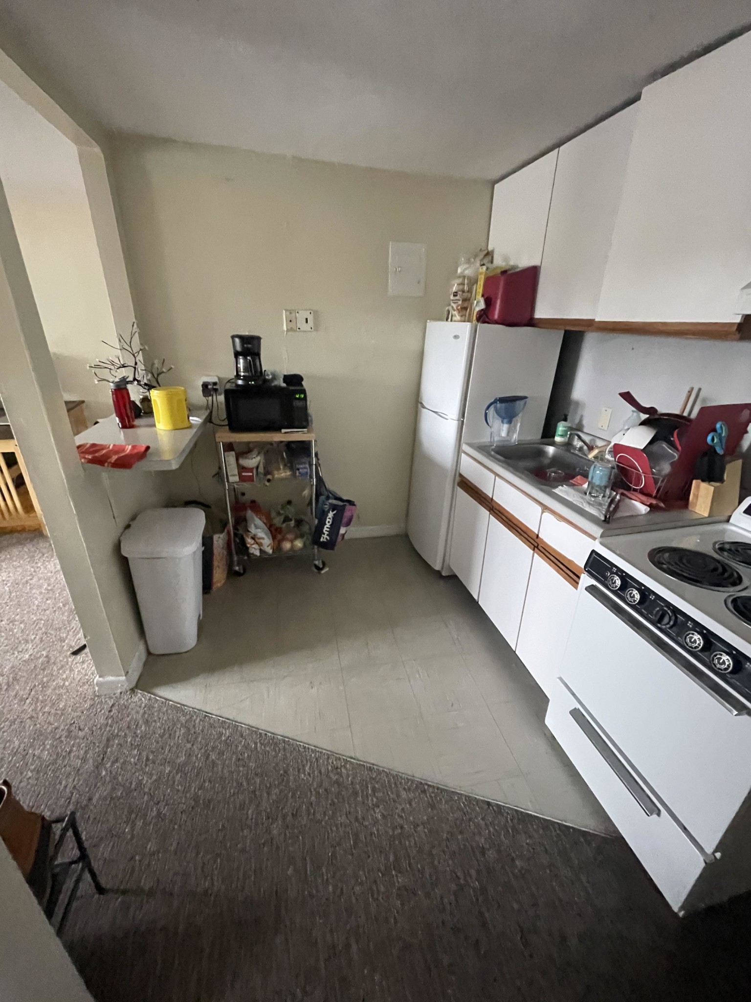 231 Harrison Ave, Chinatown